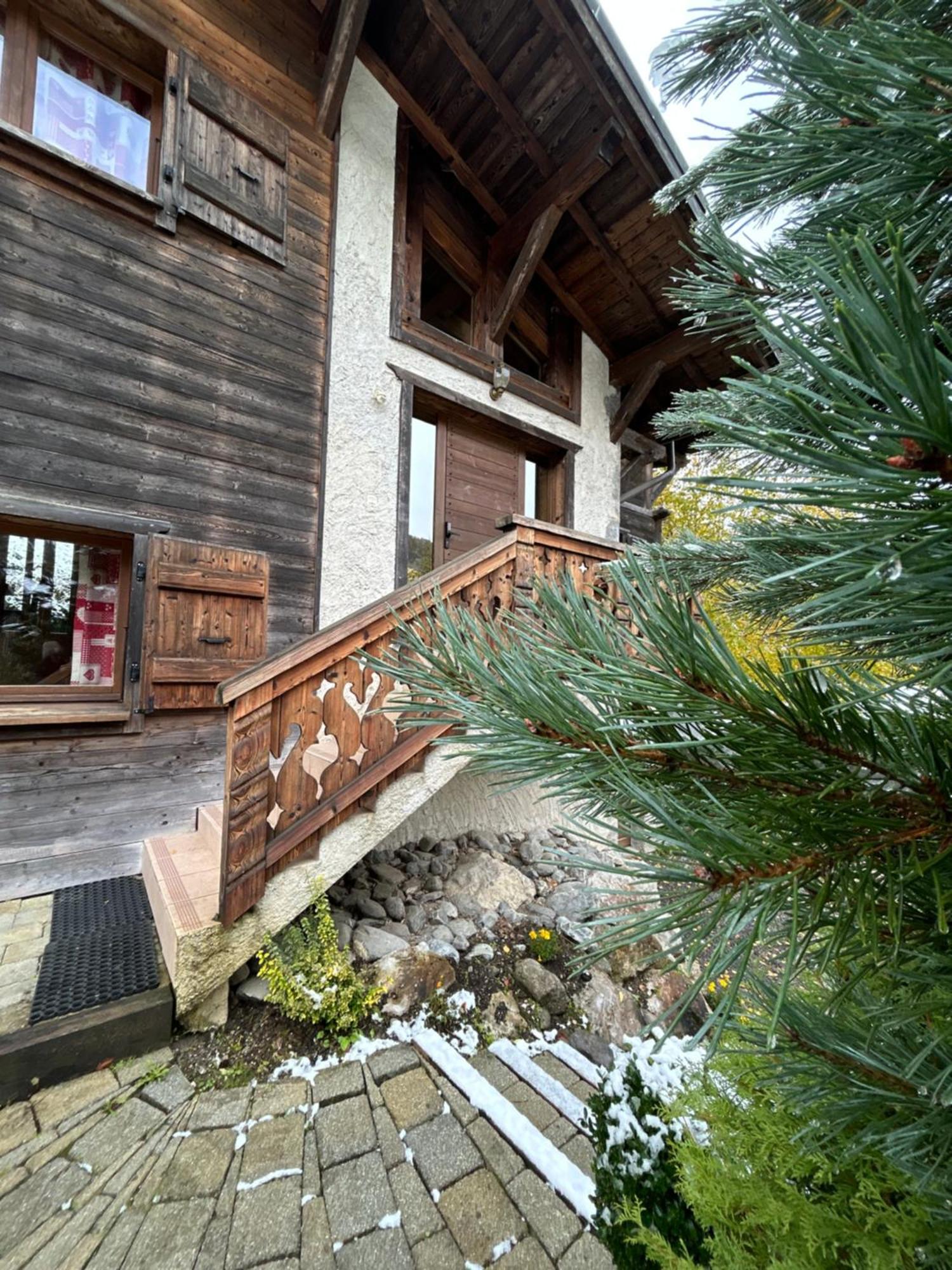 Chalet Adonis - Montriond, Morzine, Avoriaz Zewnętrze zdjęcie