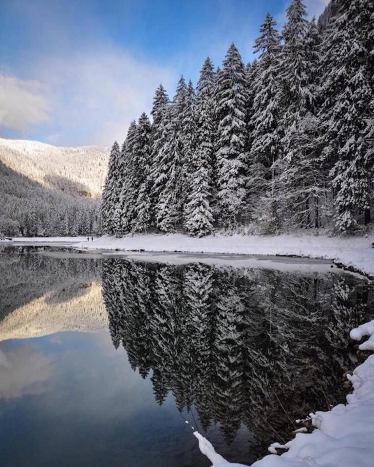 Chalet Adonis - Montriond, Morzine, Avoriaz Zewnętrze zdjęcie